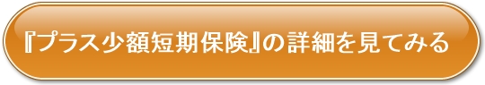 やさしい終活保険ボタン